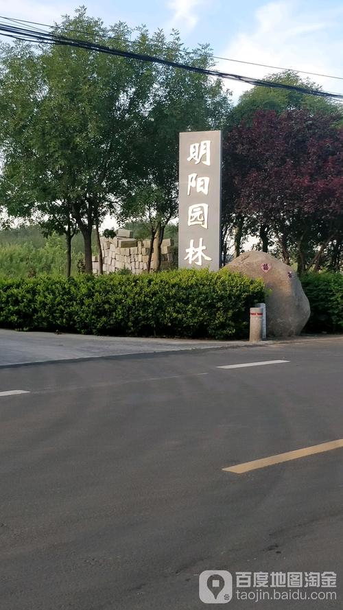 青岛明阳园林绿化工程有限公司 匠心筑绿，绘就城市生态画卷
