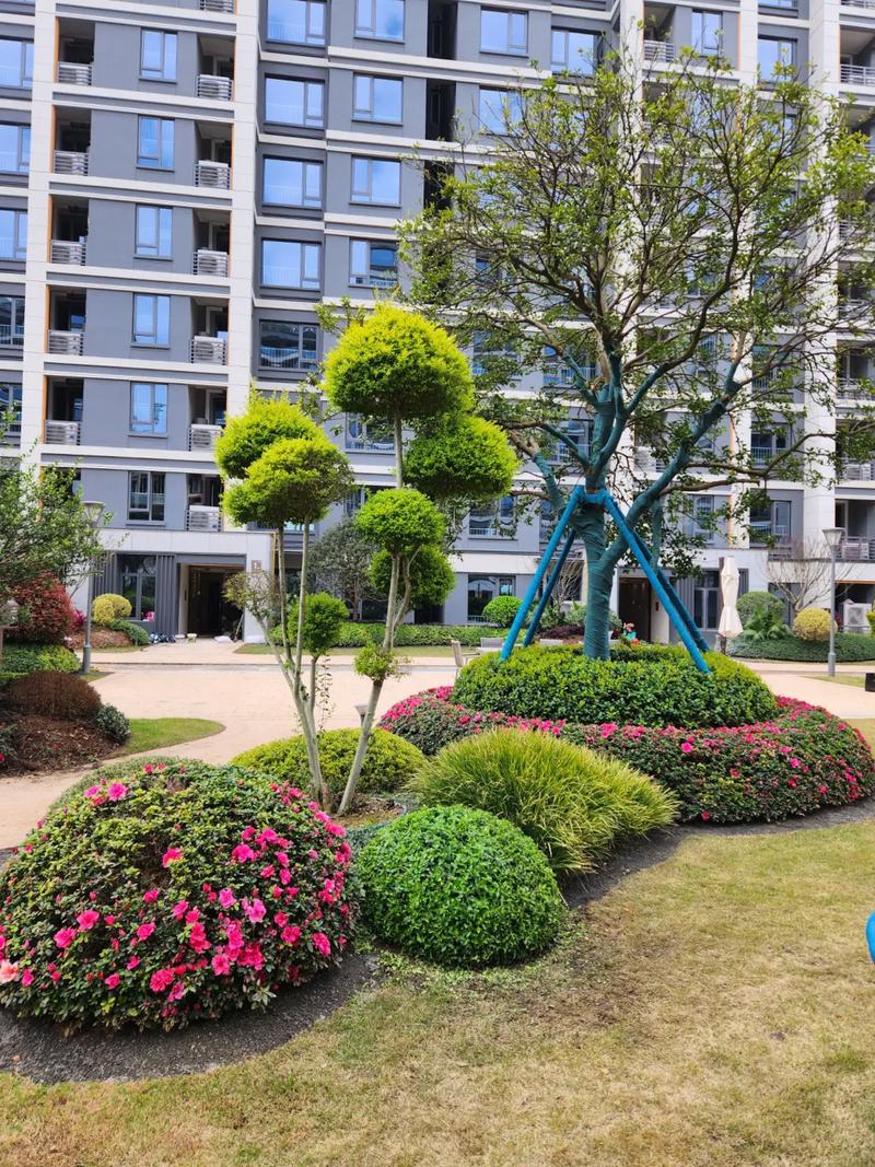 认真去打拼#园林绿化工程 #园林景观设计 #庭院设计施工 # - 抖音